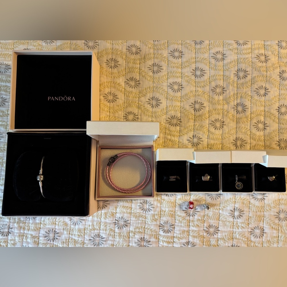 Lot of Pandora 2 bracelets 6 charms retired